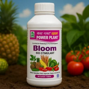 Bloom