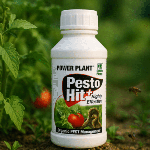 Pesto Hit Plus