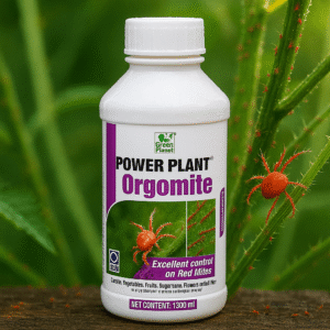 Orgomite